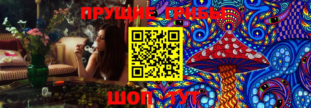 Псилоцибиновые грибы Cubensis Малоярославец